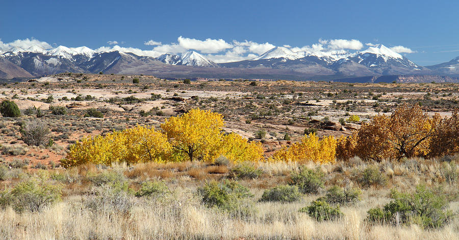 La Sal mountains in Arches National Park Photograph by Pierre Leclerc Photography