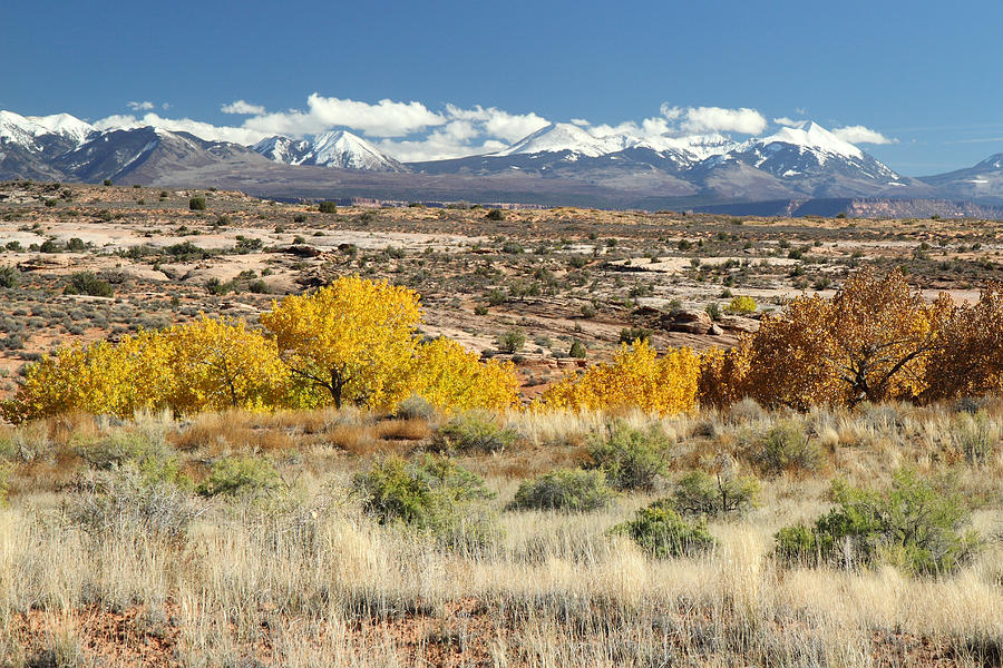 La Sal mountains in Autumn  Photograph by Pierre Leclerc Photography