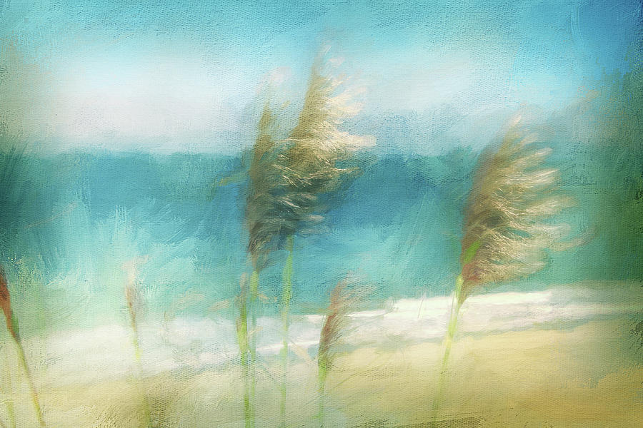 La Selva Pampas Grass Digital Art by Terry Davis
