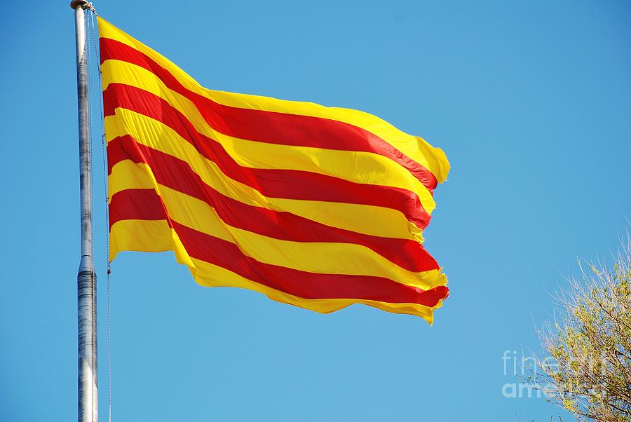 La Senyera the flag of Catalonia Photograph by David Fowler