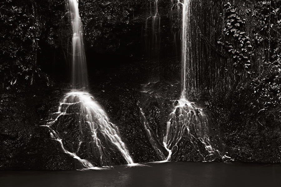 La Tille Falls in Black and White- St Lucia Photograph by Chester Williams