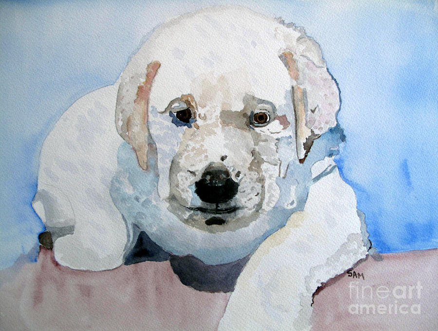 Lab Puppy Painting by Sandy McIntire