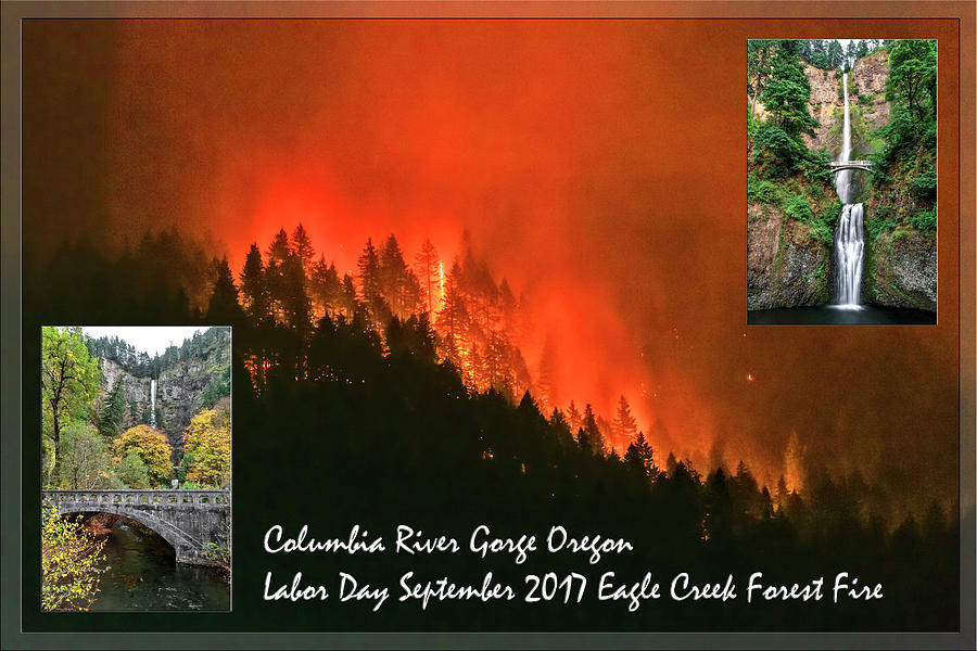 Labor Day Eagle Creek Forest Fire Photograph by Wes and Dotty Weber