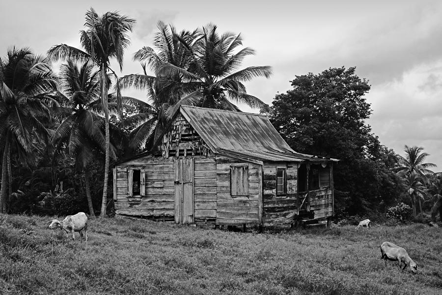 Black And White Photograph - Laborie House- St Lucia by Chester Williams
