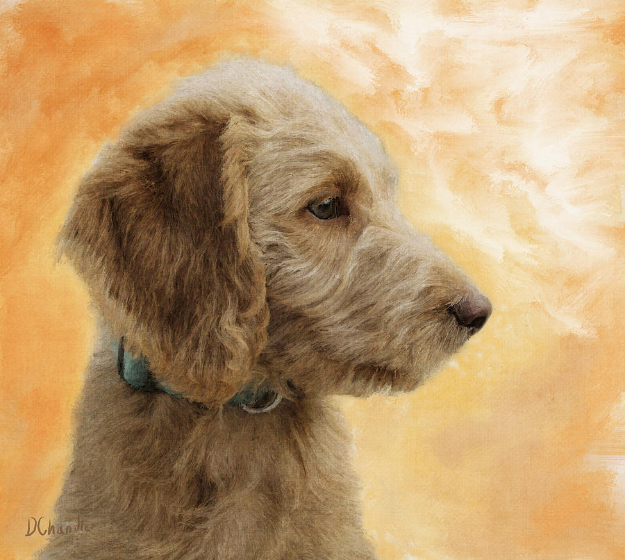 Labradoodle Puppy Painting by Diane Chandler