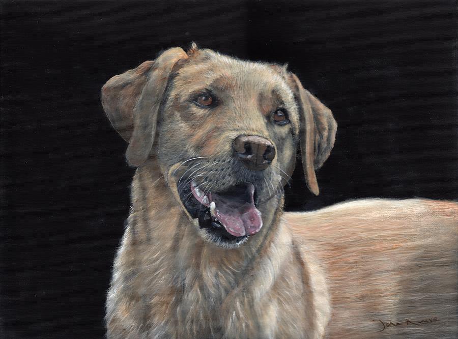 Labrador Portrait Painting by John Neeve