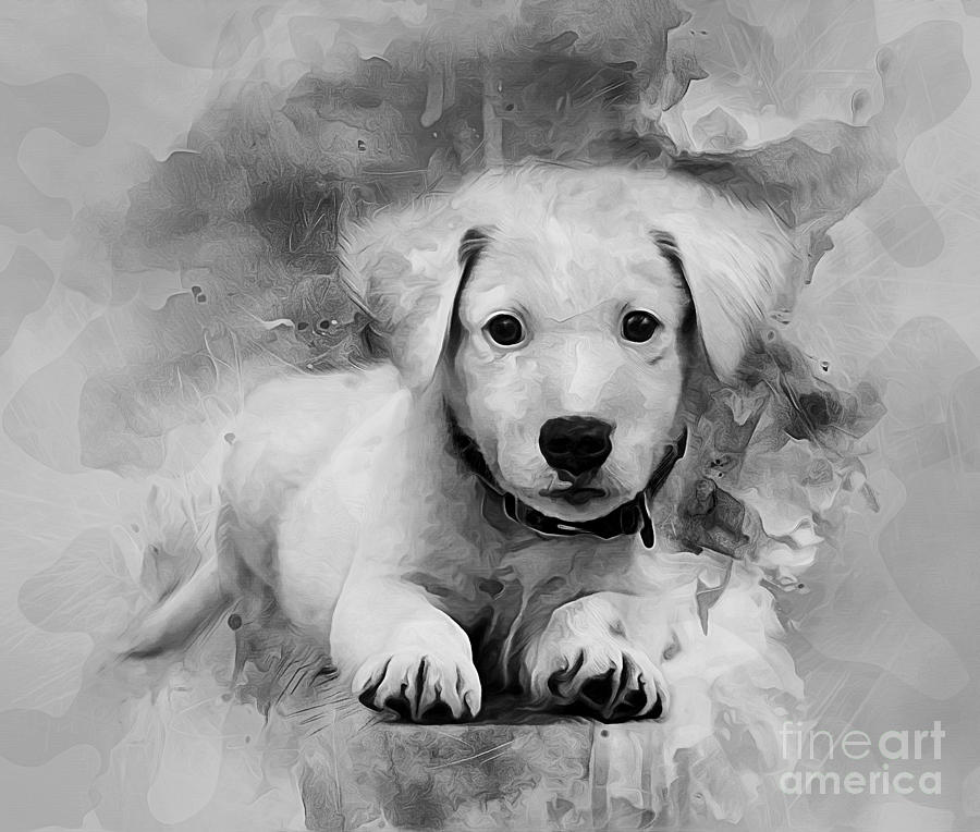 Labrador Puppy Digital Art by Ian Mitchell