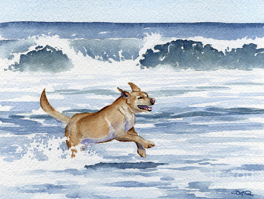 Beach Painting - Labrador Retriever at the Beach by David Rogers