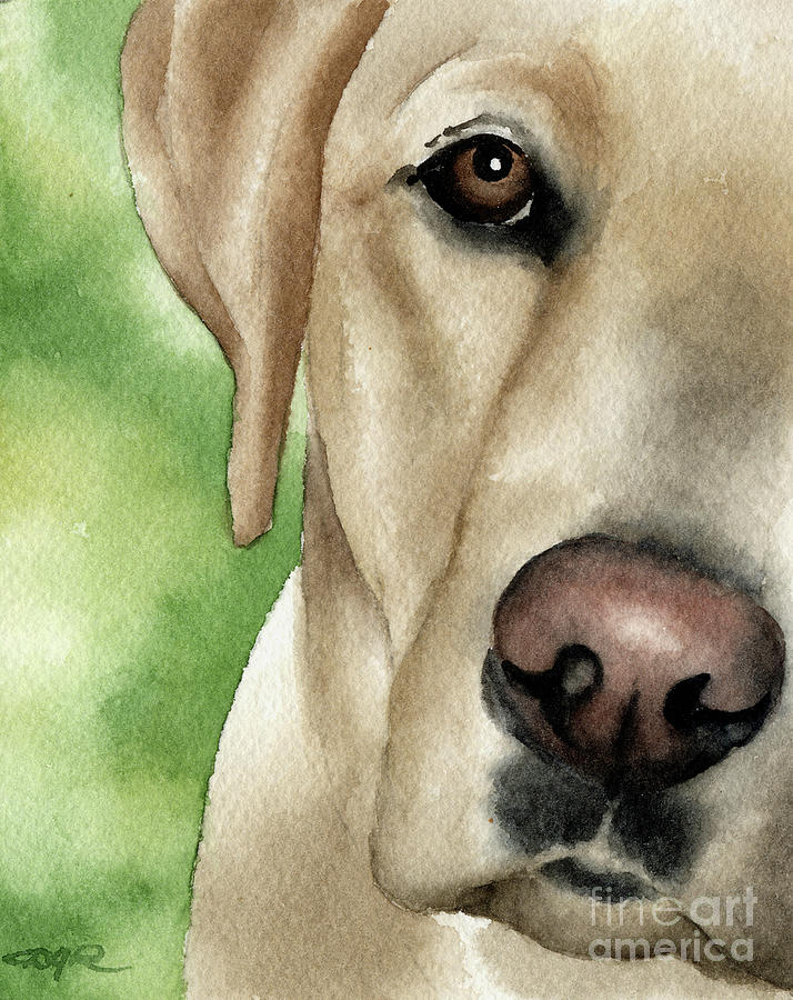 Portrait Painting - Labrador Retriever  by David Rogers