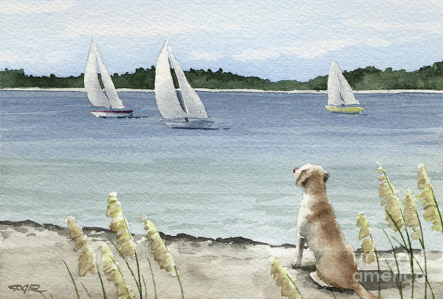 Boat Painting - Labrador Retriever Watching the Sailboats by David Rogers