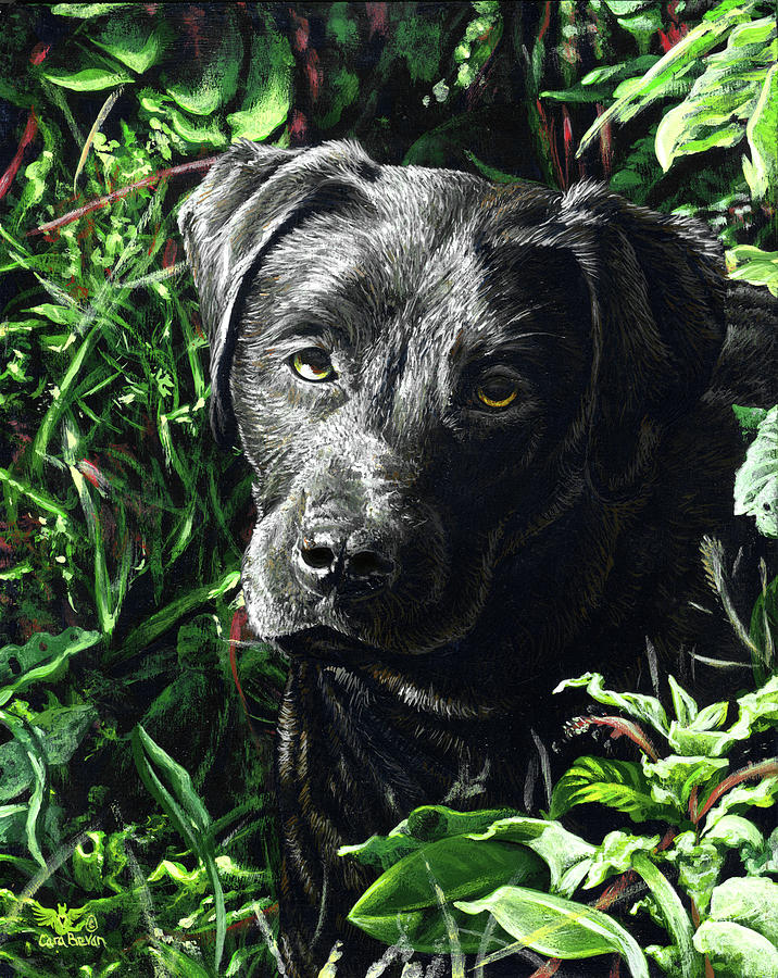 Labradorable Painting by Cara Bevan 