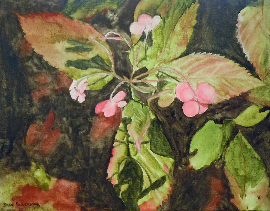 Flowers Painting - Lace Cap 1 by Jean Blackmer Flowers Painting - Lace Cap 1 by Jean Blackmer