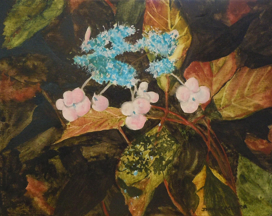 Flowers Painting - Lace Cap 2 by Jean Blackmer Flowers Painting - Lace Cap 2 by Jean Blackmer