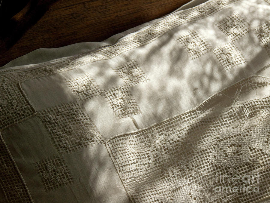 Lace light and shadow Photograph by Paula Joy Welter