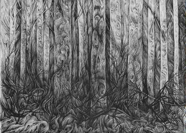 Lace of the Forest Drawing by Anna  Duyunova