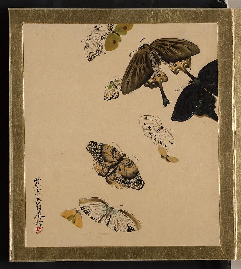 Lacquer Paintings of Various Subjects Butterflies Painting by Shibata Zeshin
