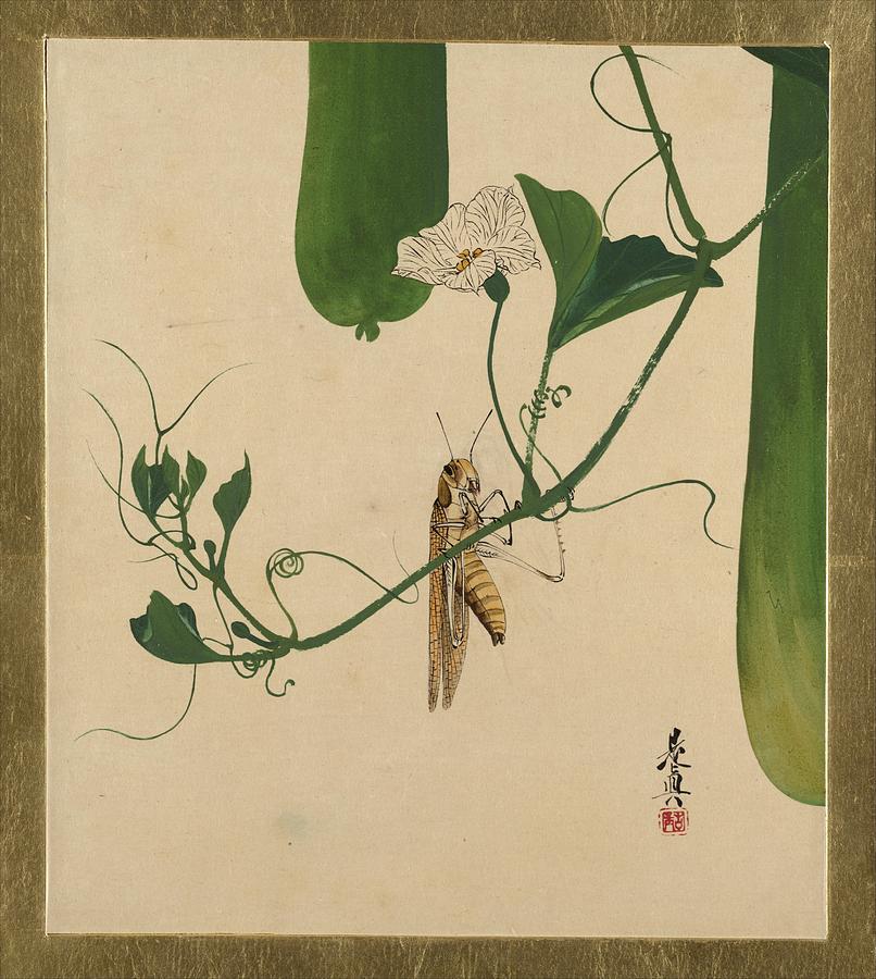 Lacquer Paintings of Various Subjects Grasshopper on Gourd Vine Painting by Shibata Zeshin
