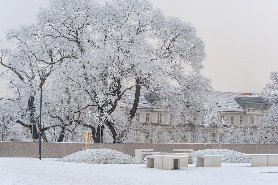 Lacy Winter in Brno. Park Koliste Photograph by Jenny Rainbow