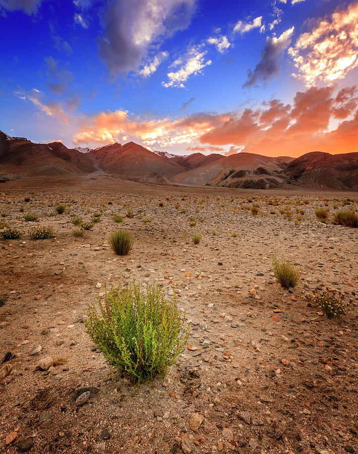 Ladakh landscape Photograph by Alexey Stiop