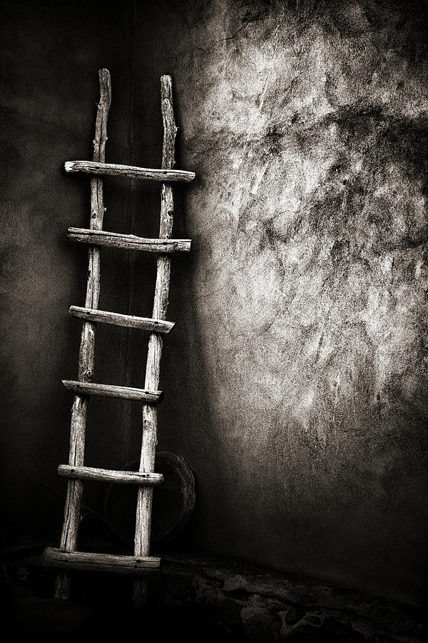 Ladder in Truchas New Mexico Photograph by Carol Leigh