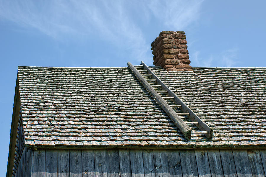 Ladder - Shingled Roof - Maison Doucet Photograph by Nikolyn McDonald