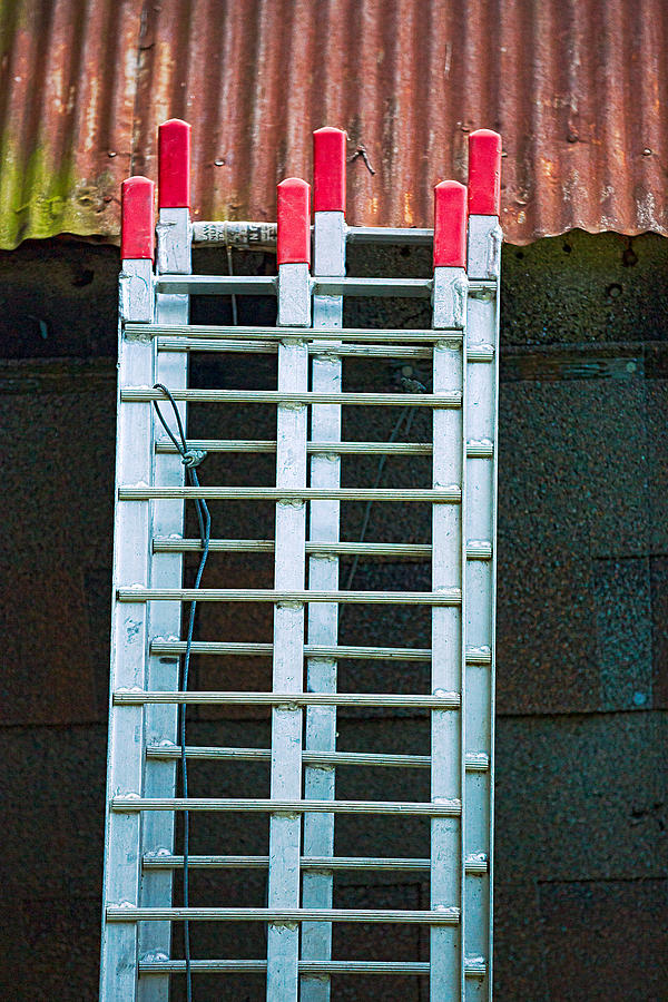 Ladder Shingles Roof Photograph by Robert FERD Frank