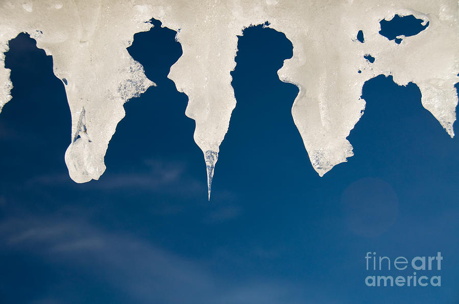 Abstract Photograph - Ladies from heaven by Gry Thunes