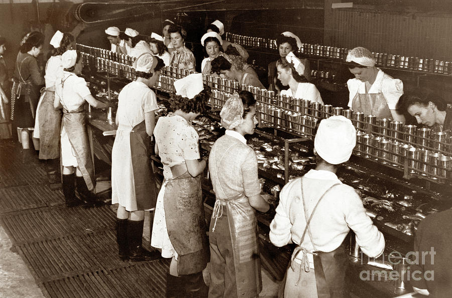 Ladies Photograph - Ladies packing sardines in tall cans monterey 1941 by Monterey County Historical Society