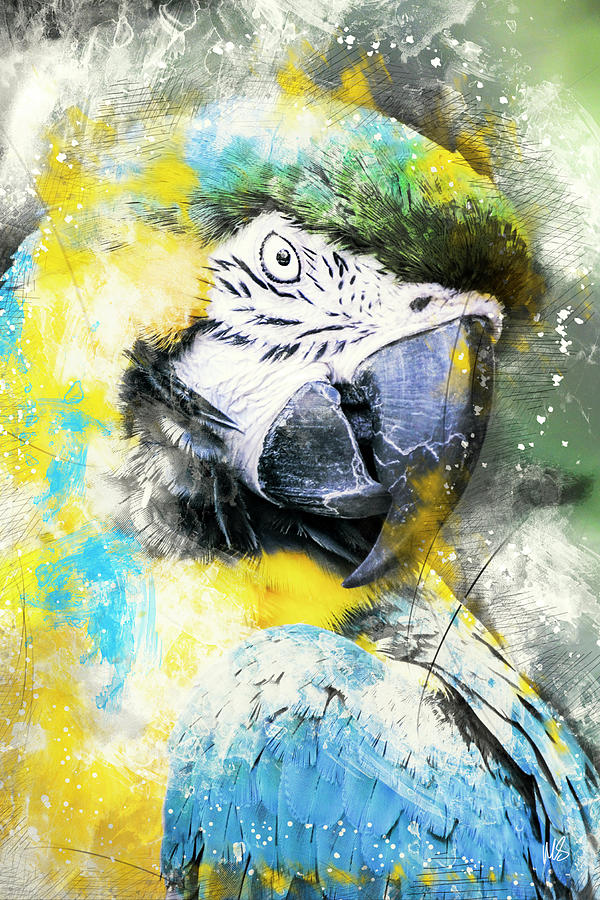 Parrot Mixed Media - Lady Bird by Melissa Smith