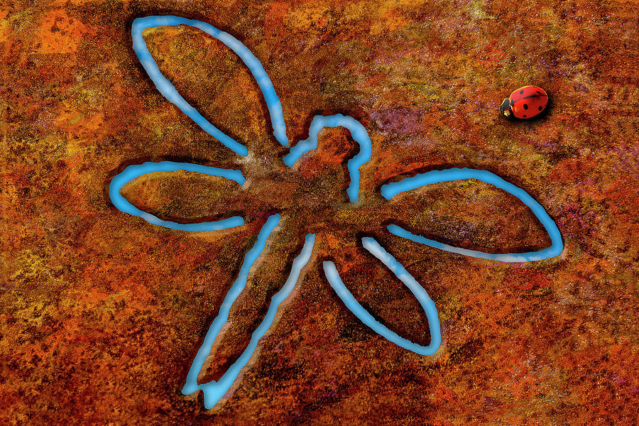 Lady Bug and Dragonfly Photograph by Paul Wear