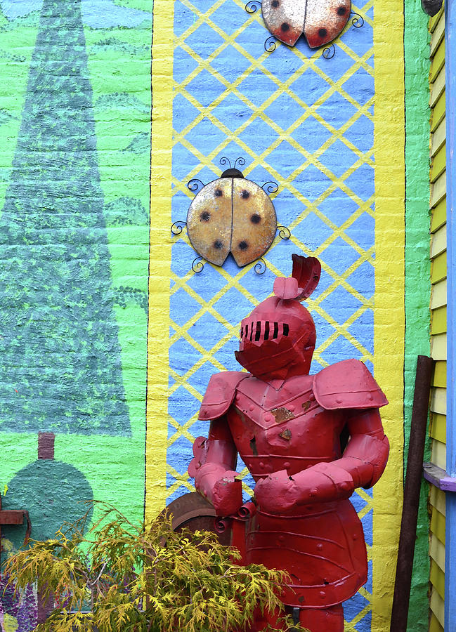 Lady Bug Knight 2 Photograph by Char Szabo-Perricelli