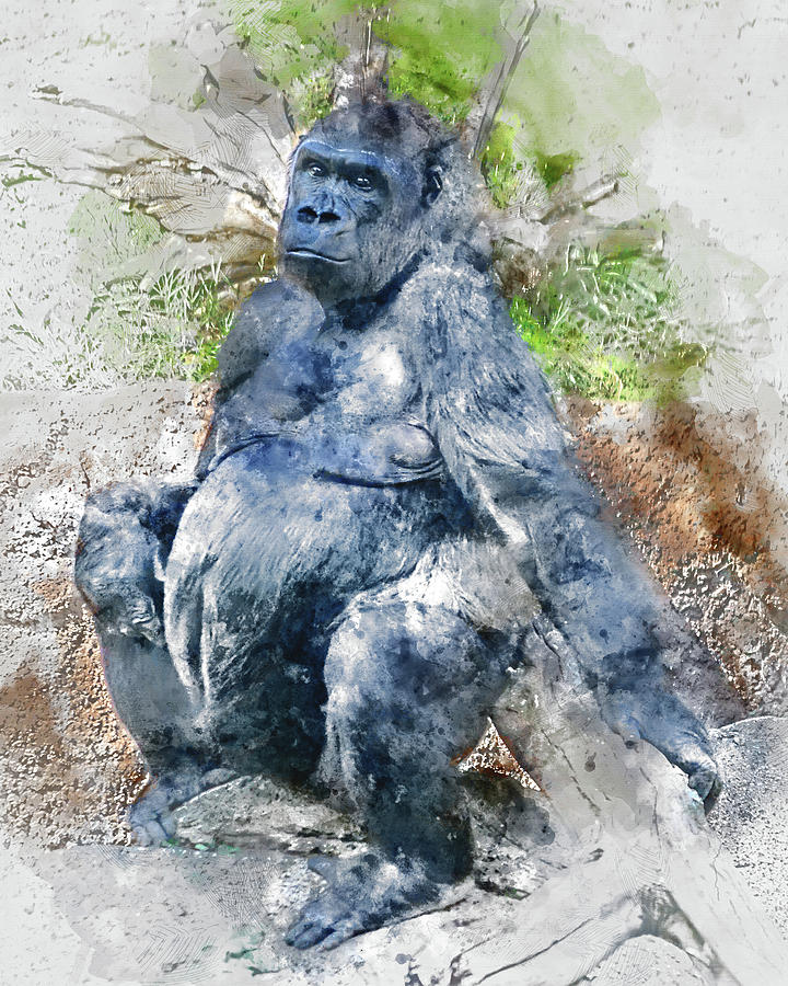 Lady Gorilla Sitting Deep in Thought Photograph by Anthony Murphy