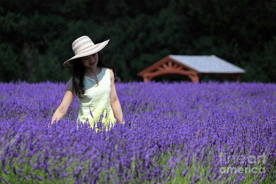 Lady in Lavender Photograph by Julia Gavin