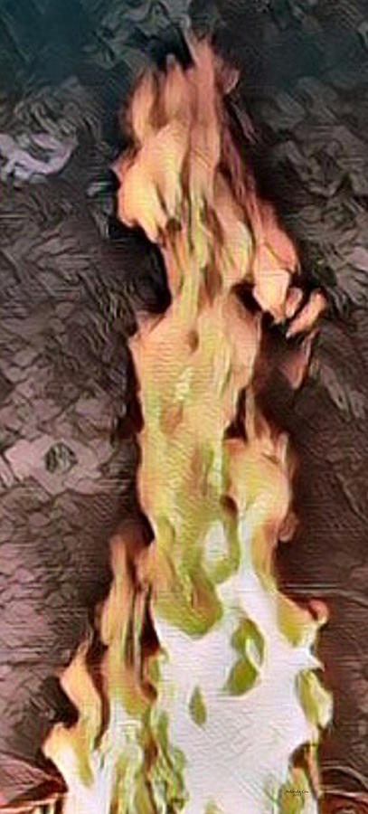 Lady in the Fire Digital Art by Artful Oasis