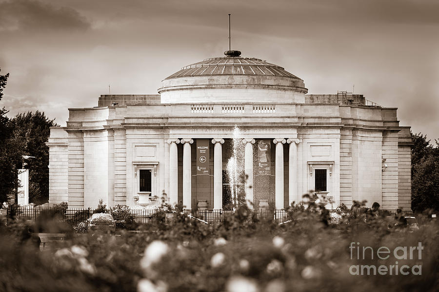Lady Lever Art Gallery Photograph by Paul Warburton