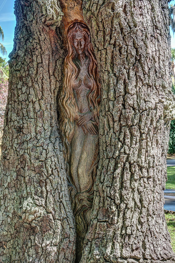 Lady of Belle Point, St. Simons Island Tree Spirit, Brunswick, G Photograph by Dawna Moore Photography