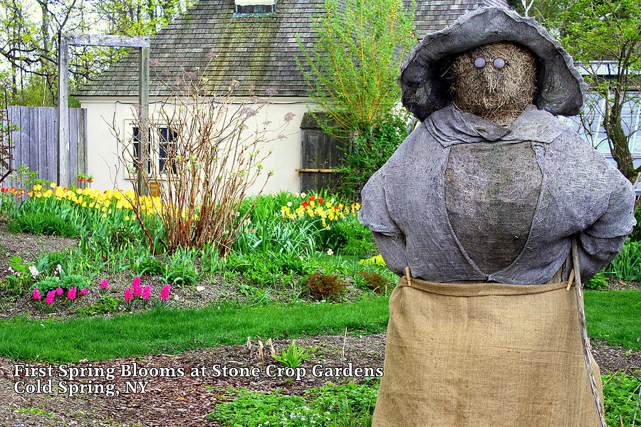 Lady of the Gardens Stone Crop Gardens NY Photograph by DazzleMe Photography