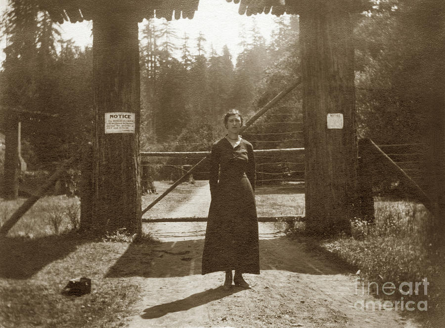 Lady Photograph - Lady standing on front of Gate to Bohemian Grove Circa 1920 by Monterey County Historical Society