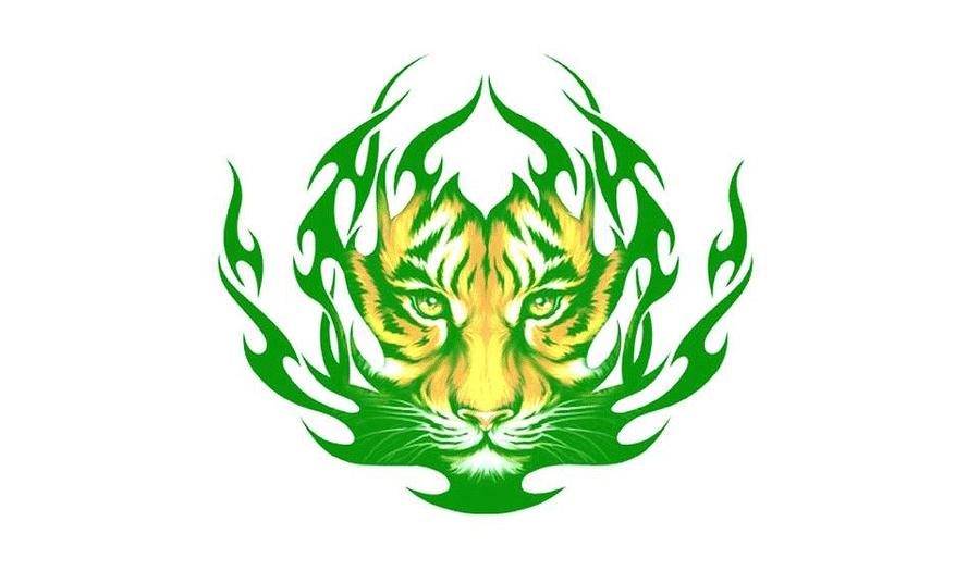 Lady Tiger Logo Digital Art by Georgia Tigers - Pixels