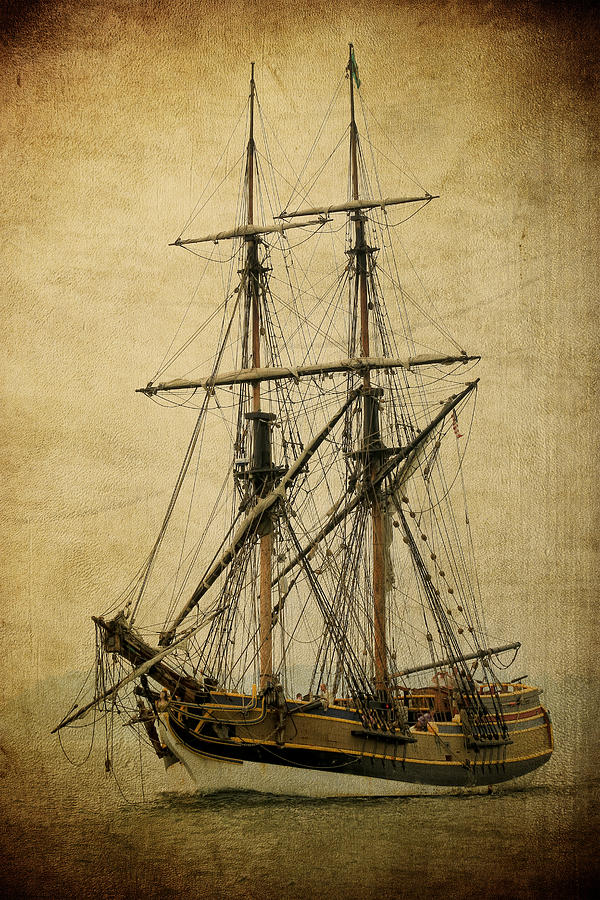 Lady Washington Pirate Ship Photograph by Athena Mckinzie