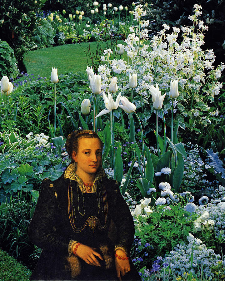 Lady With White Tulips Digital Art by John Vincent Palozzi