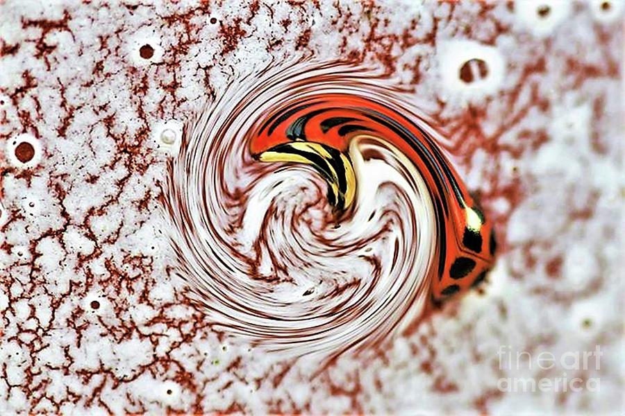 Ladybird Abstract Swirl Digital Art by Tracey Lee Cassin
