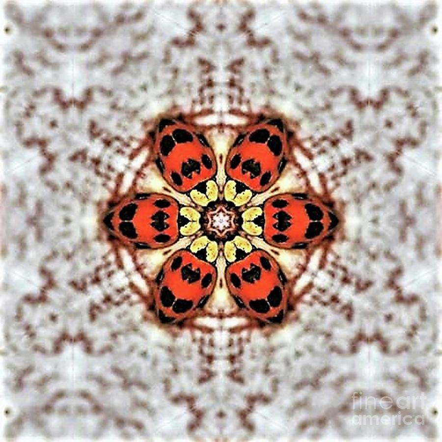 Ladybird Flower Blur #1 Digital Art by Tracey Lee Cassin
