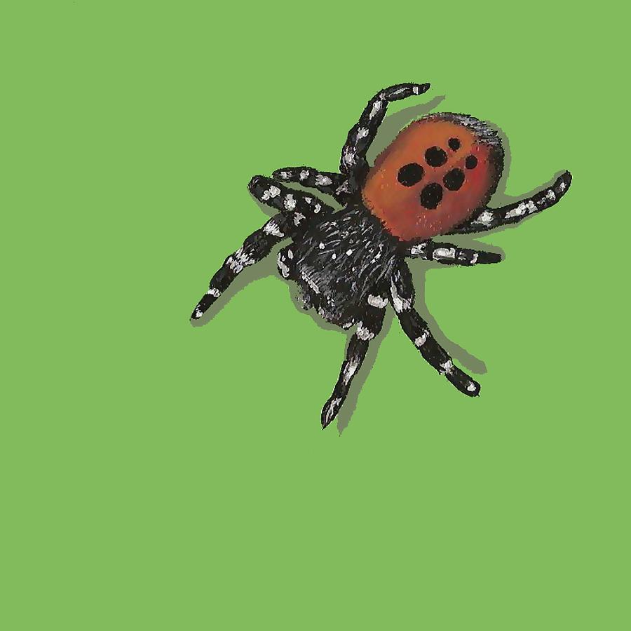 Ladybird Spider Painting by Jude Labuszewski
