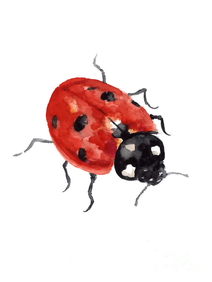 Ladybird Watercolor Large Poster Painting By Joanna Szmerdt
