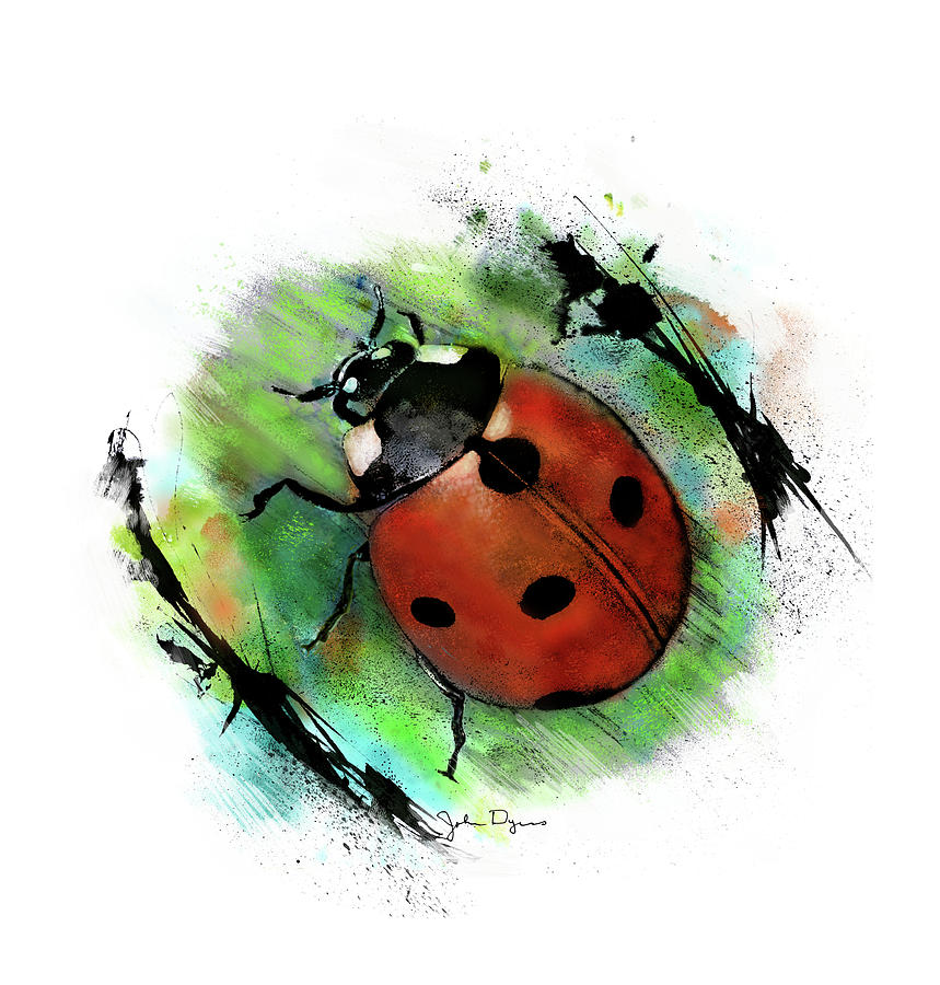 Ladybug Drawing Drawing by John Dyess Pixels
