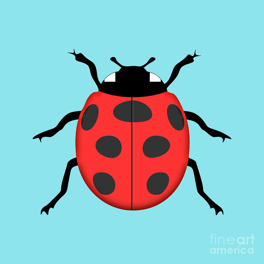 Ladybug Digital Art by Gaspar Avila