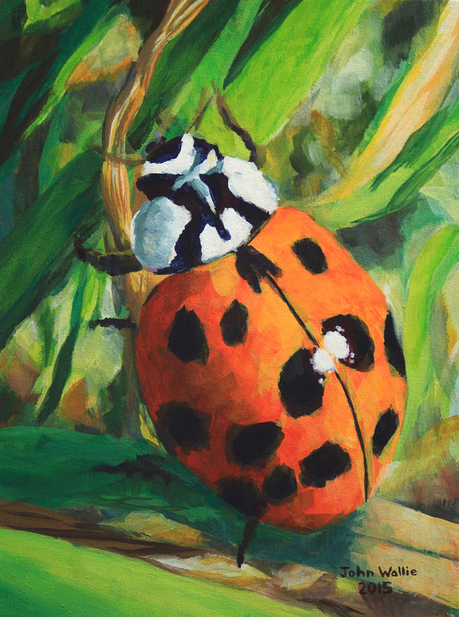 Ladybug Painting - Ladybug by John Wallie