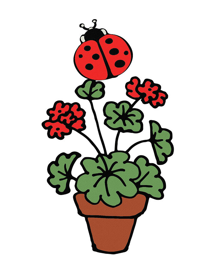 Ladybug On Geranium Illustration Digital Art