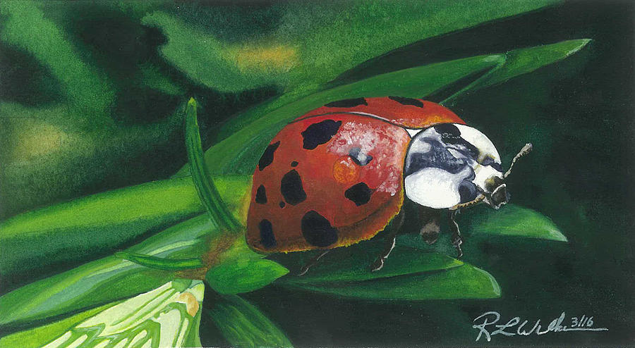 Ladybug Painting by Ronald Wilkie